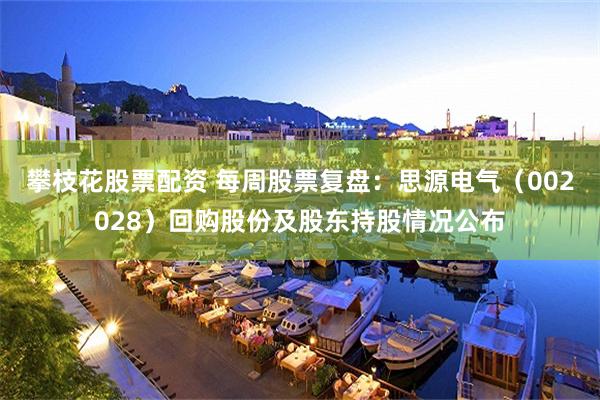 攀枝花股票配资 每周股票复盘：思源电气（002028）回购股份及股东持股情况公布