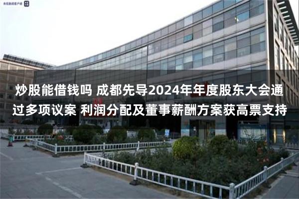 炒股能借钱吗 成都先导2024年年度股东大会通过多项议案 利润分配及董事薪酬方案获高票支持