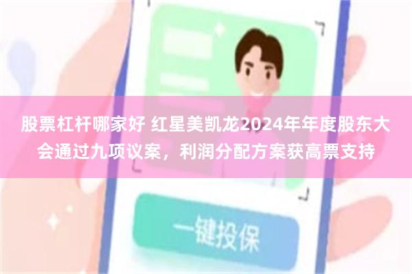 股票杠杆哪家好 红星美凯龙2024年年度股东大会通过九项议案，利润分配方案获高票支持