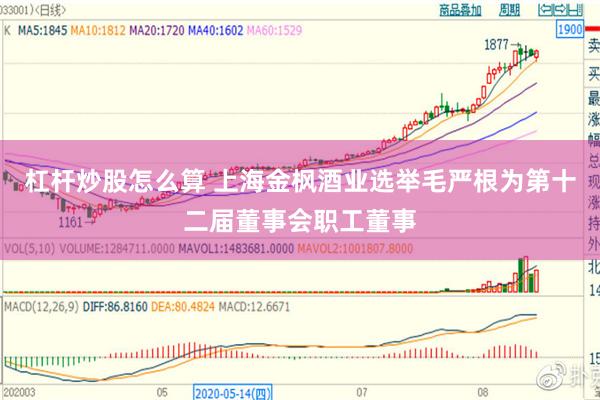 杠杆炒股怎么算 上海金枫酒业选举毛严根为第十二届董事会职工董事