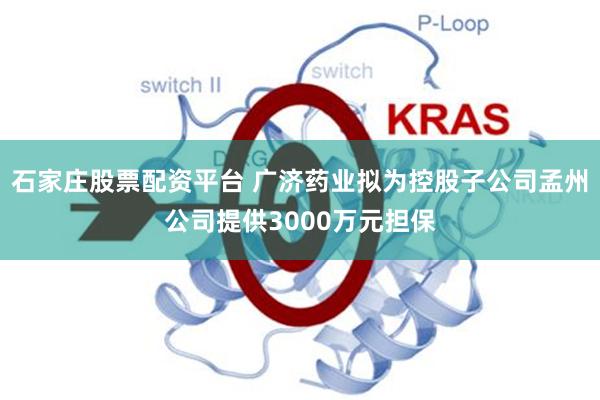 石家庄股票配资平台 广济药业拟为控股子公司孟州公司提供3000万元担保