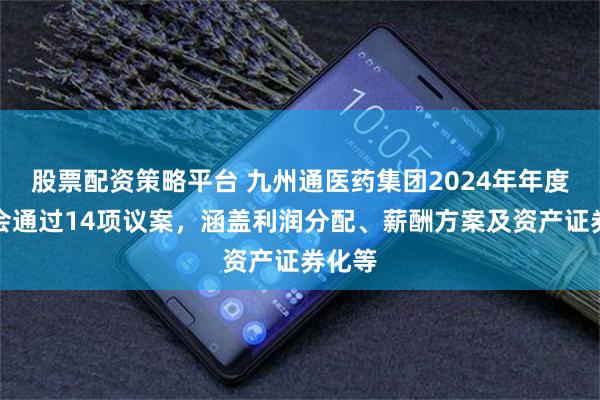 股票配资策略平台 九州通医药集团2024年年度股东会通过14项议案，涵盖利润分配、薪酬方案及资产证券化等