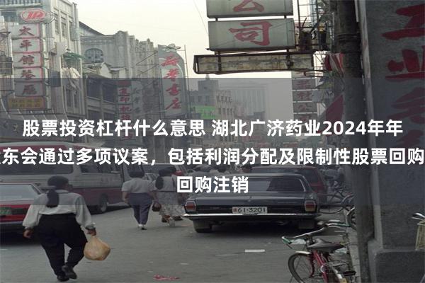 股票投资杠杆什么意思 湖北广济药业2024年年度股东会通过多项议案，包括利润分配及限制性股票回购注销