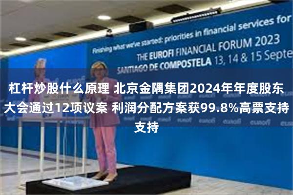 杠杆炒股什么原理 北京金隅集团2024年年度股东大会通过12项议案 利润分配方案获99.8%高票支持