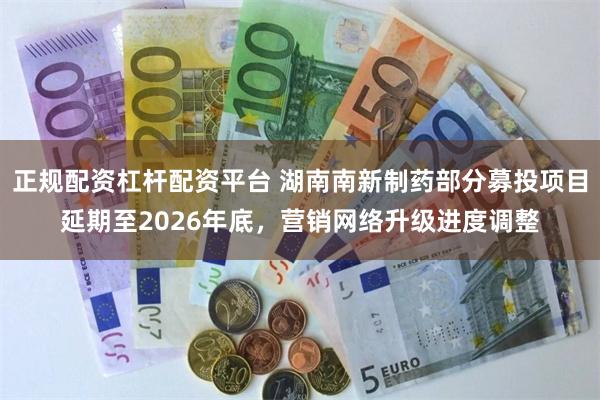 正规配资杠杆配资平台 湖南南新制药部分募投项目延期至2026年底，营销网络升级进度调整