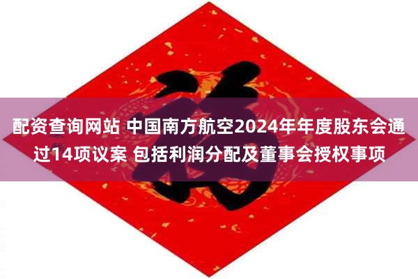配资查询网站 中国南方航空2024年年度股东会通过14项议案 包括利润分配及董事会授权事项
