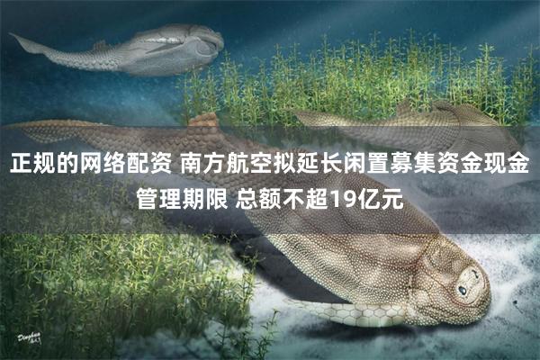 正规的网络配资 南方航空拟延长闲置募集资金现金管理期限 总额不超19亿元