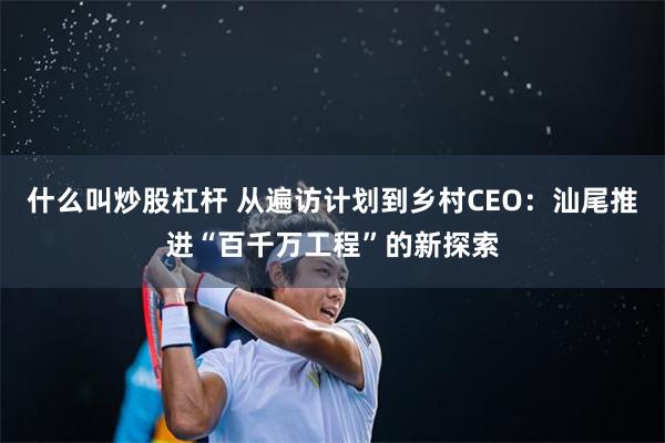 什么叫炒股杠杆 从遍访计划到乡村CEO：汕尾推进“百千万工程”的新探索