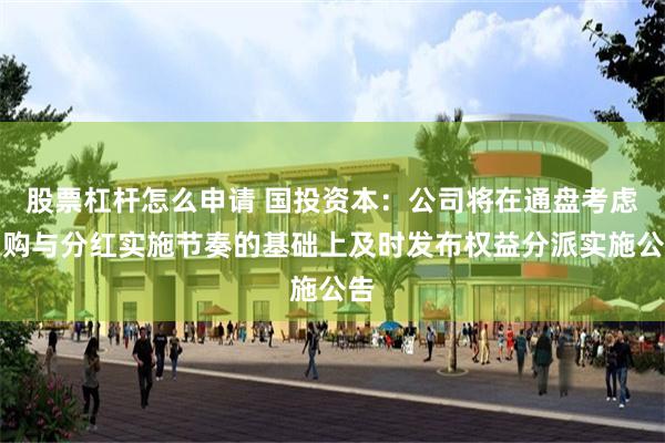 股票杠杆怎么申请 国投资本：公司将在通盘考虑回购与分红实施节奏的基础上及时发布权益分派实施公告