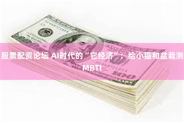 股票配资论坛 AI时代的“它经济”:给小猫和盆栽测MBTI