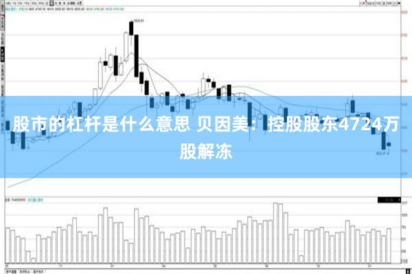 股市的杠杆是什么意思 贝因美：控股股东4724万股解冻