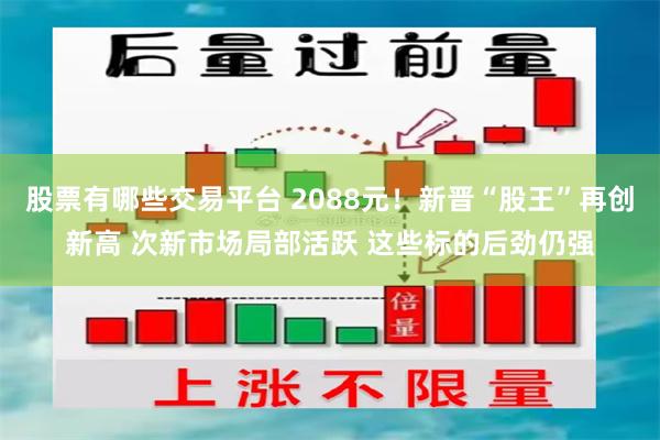股票有哪些交易平台 2088元！新晋“股王”再创新高 次新市场局部活跃 这些标的后劲仍强