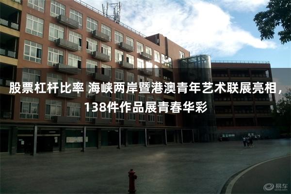 股票杠杆比率 海峡两岸暨港澳青年艺术联展亮相，138件作品展青春华彩