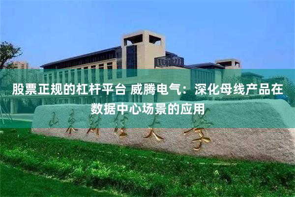 股票正规的杠杆平台 威腾电气：深化母线产品在数据中心场景的应用