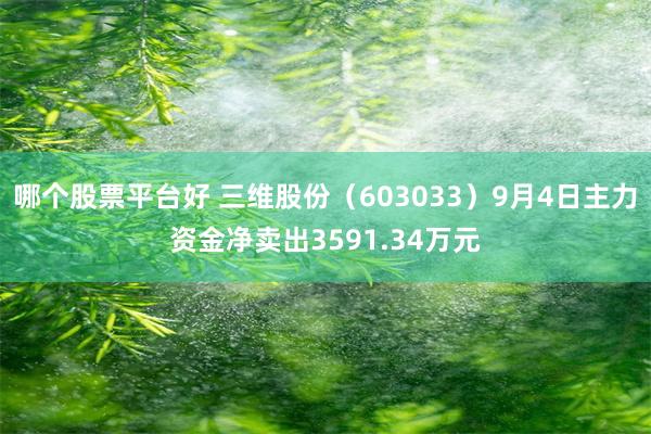 哪个股票平台好 三维股份（603033）9月4日主力资金净卖出3591.34万元