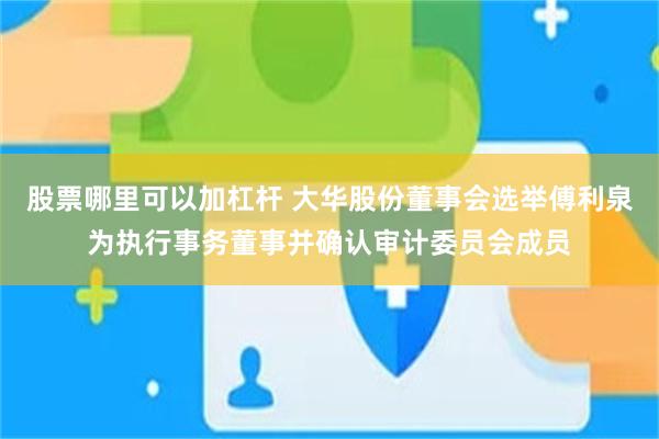 股票哪里可以加杠杆 大华股份董事会选举傅利泉为执行事务董事并确认审计委员会成员
