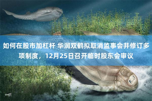 如何在股市加杠杆 华润双鹤拟取消监事会并修订多项制度，12月25日召开临时股东会审议