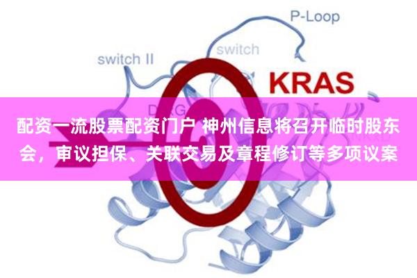 配资一流股票配资门户 神州信息将召开临时股东会,审议担保、关联交易及章程修订等多项议案