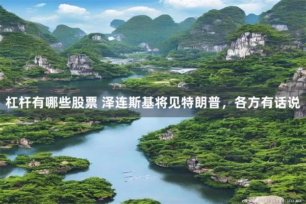 杠杆有哪些股票 泽连斯基将见特朗普,各方有话说