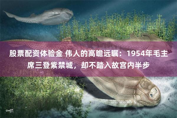 股票配资体验金 伟人的高瞻远瞩：1954年毛主席三登紫禁城，却不踏入故宫内半步
