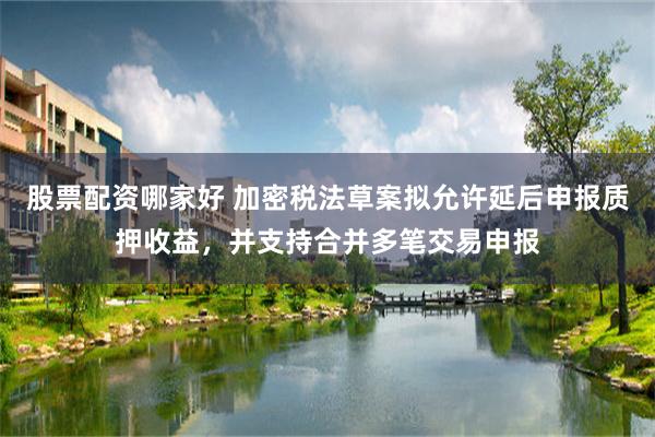 股票配资哪家好 加密税法草案拟允许延后申报质押收益，并支持合并多笔交易申报