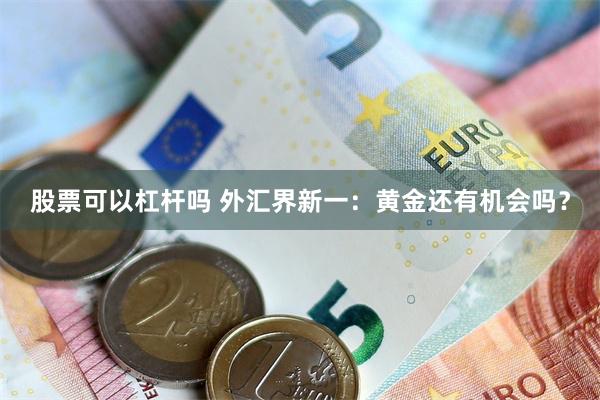 股票可以杠杆吗 外汇界新一：黄金还有机会吗？