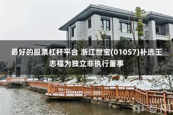 最好的股票杠杆平台 浙江世宝(01057)补选王志福为独立非执行董事
