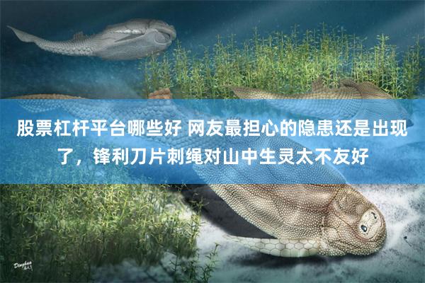 股票杠杆平台哪些好 网友最担心的隐患还是出现了，锋利刀片刺绳对山中生灵太不友好