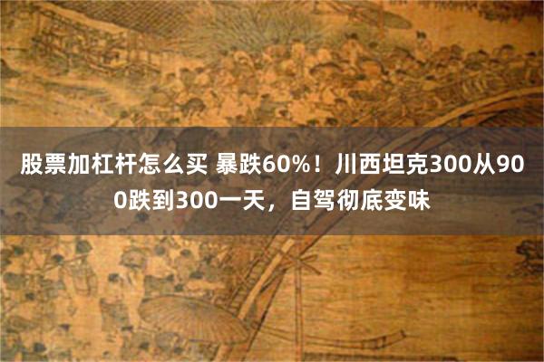 股票加杠杆怎么买 暴跌60%!川西坦克300从900跌到300一天,自驾彻底变味