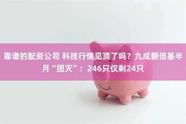 靠谱的配资公司 科技行情见顶了吗?九成翻倍基半月“团灭”:246只仅剩24只