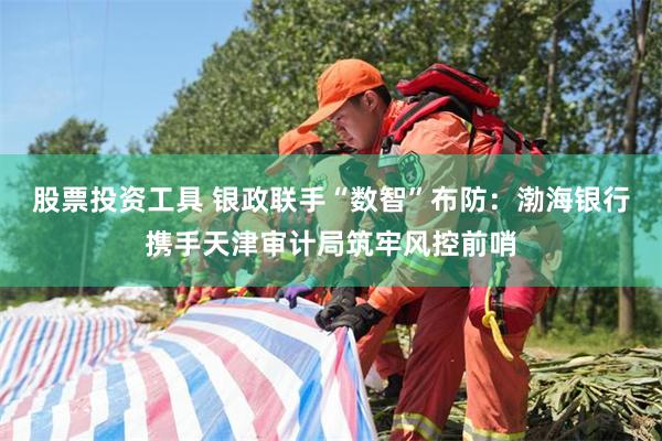 股票投资工具 银政联手“数智”布防：渤海银行携手天津审计局筑牢风控前哨