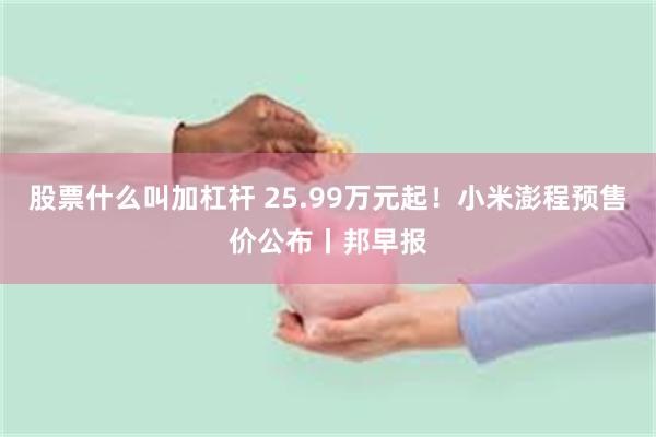 股票什么叫加杠杆 25.99万元起！小米澎程预售价公布丨邦早报