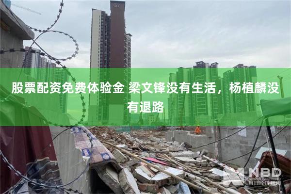 股票配资免费体验金 梁文锋没有生活，杨植麟没有退路