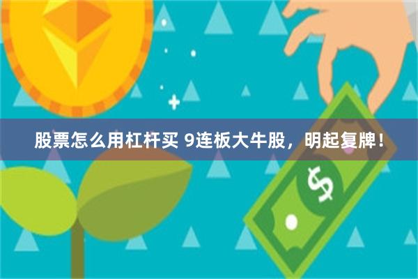 股票怎么用杠杆买 9连板大牛股，明起复牌！