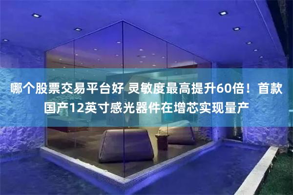 哪个股票交易平台好 灵敏度最高提升60倍！首款国产12英寸感光器件在增芯实现量产
